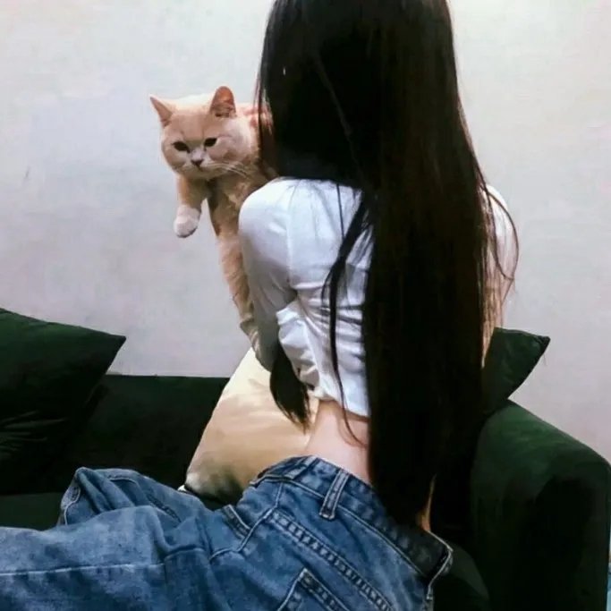 命运之线 在线观看