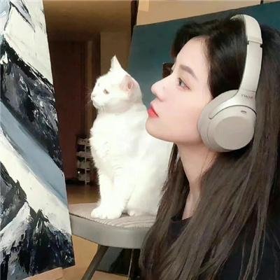 小情书 在线观看